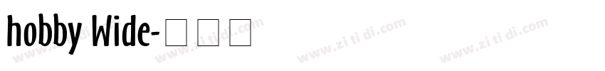 hobby Wide字体转换